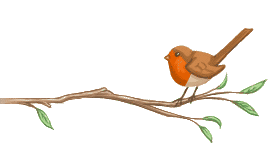 bird-gif